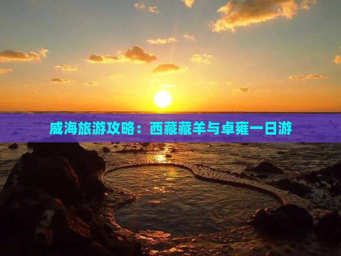 威海到西藏羊卓雍措一日