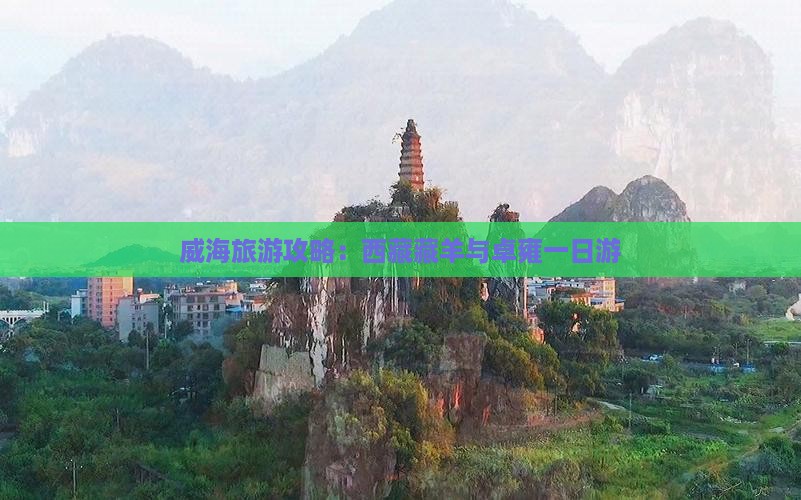威海到西藏羊卓雍措一日