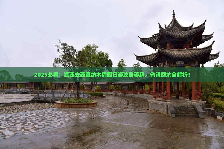 海西去西藏纳木措四日游