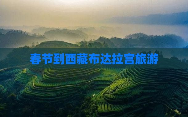 春节到西藏布达拉宫旅游