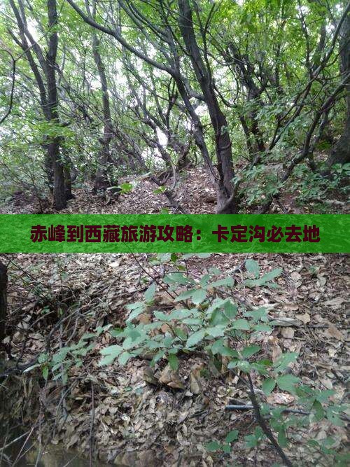 赤峰到西藏卡定沟必去地