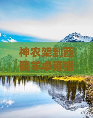神农架到西藏羊卓雍措四日游