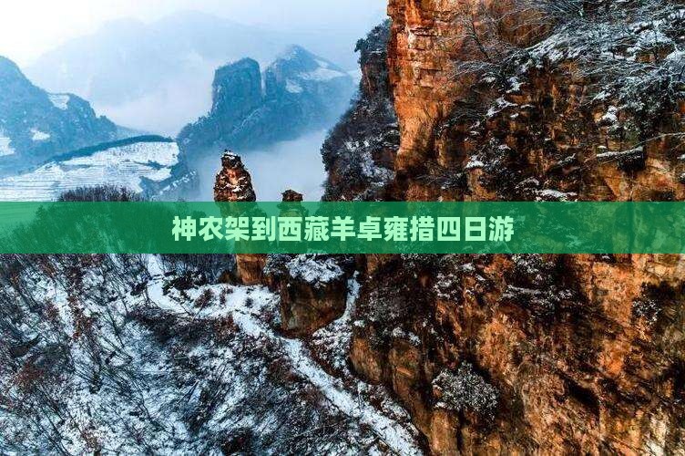 神农架到西藏羊卓雍措四日游