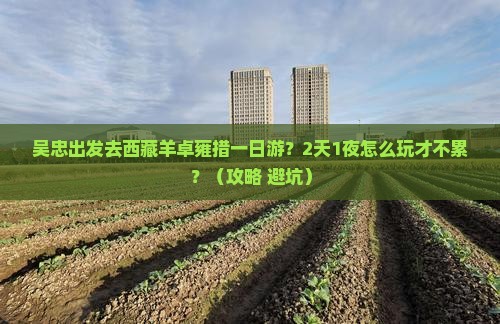 吴忠到西藏羊卓雍措一日