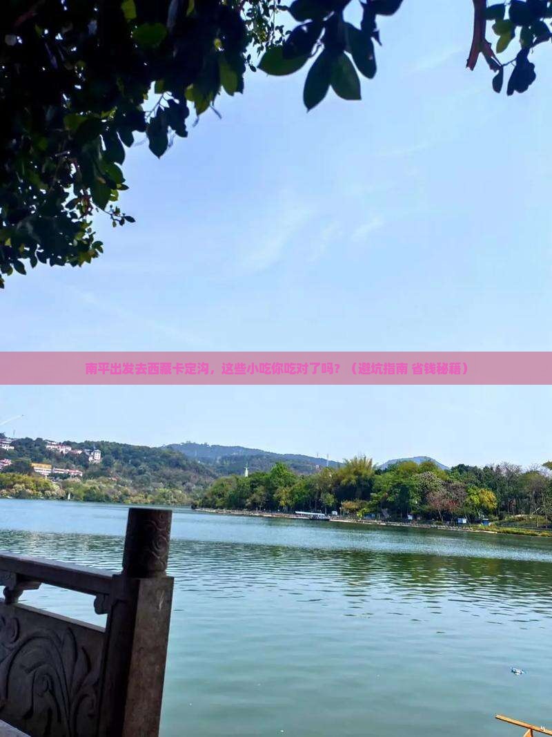 南平去西藏卡定沟旅游小吃
