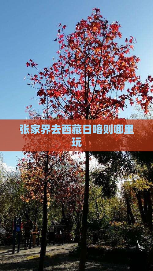 张家界去西藏日喀则哪里玩