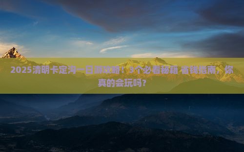 清明节去西藏卡定沟一日