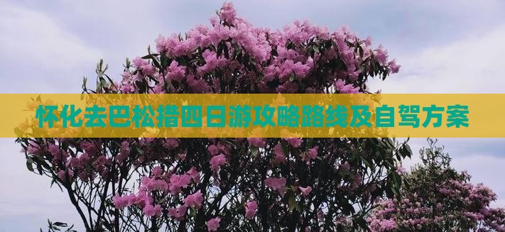 怀化去西藏巴松措四日游