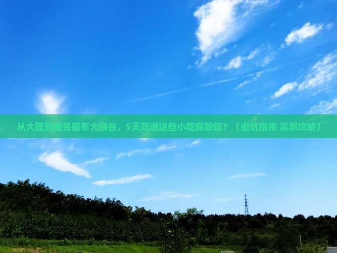 大理去西藏雅鲁藏布大峡谷旅游小吃