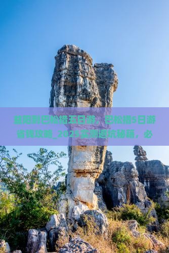 益阳到西藏巴松措五日游