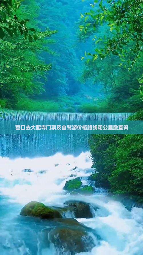 营口去西藏大昭寺门票