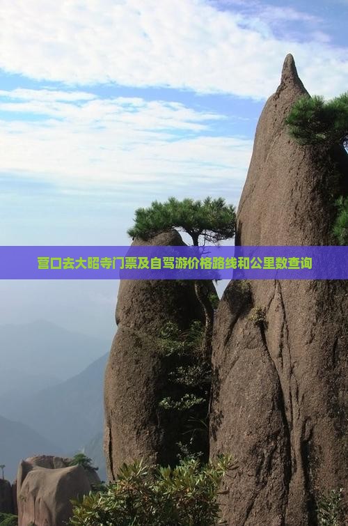 营口去西藏大昭寺门票
