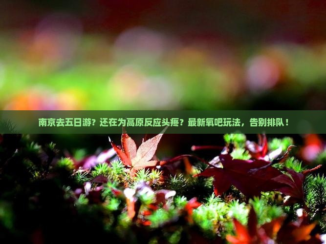 南京去西藏五日游
