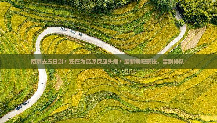 南京去西藏五日游