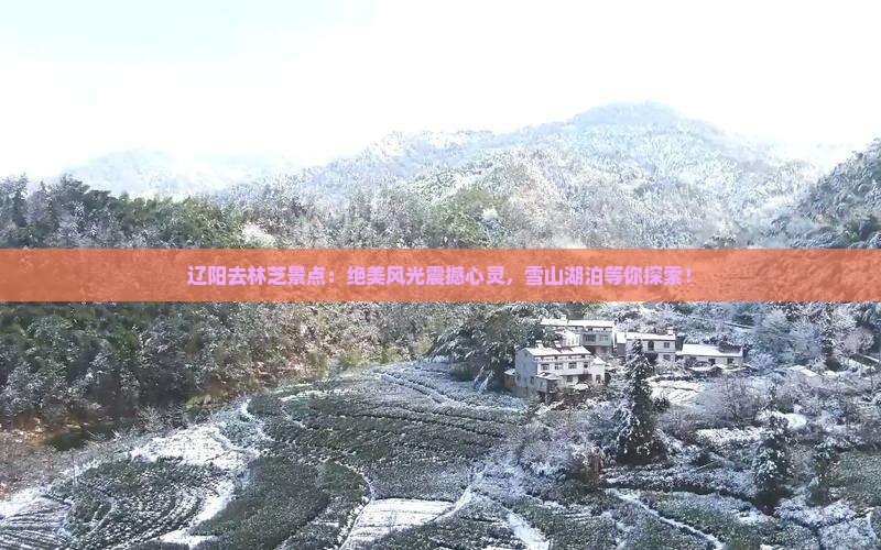 辽阳去西藏林芝景点