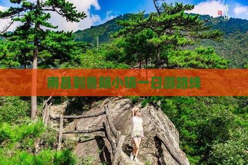南昌到西藏鲁朗小镇一日