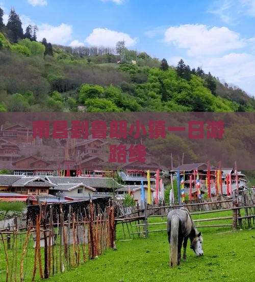 南昌到西藏鲁朗小镇一日