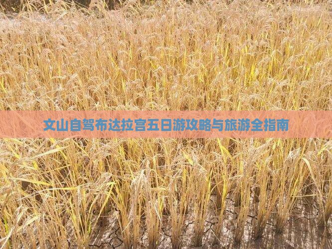 文山去西藏布达拉宫五日游