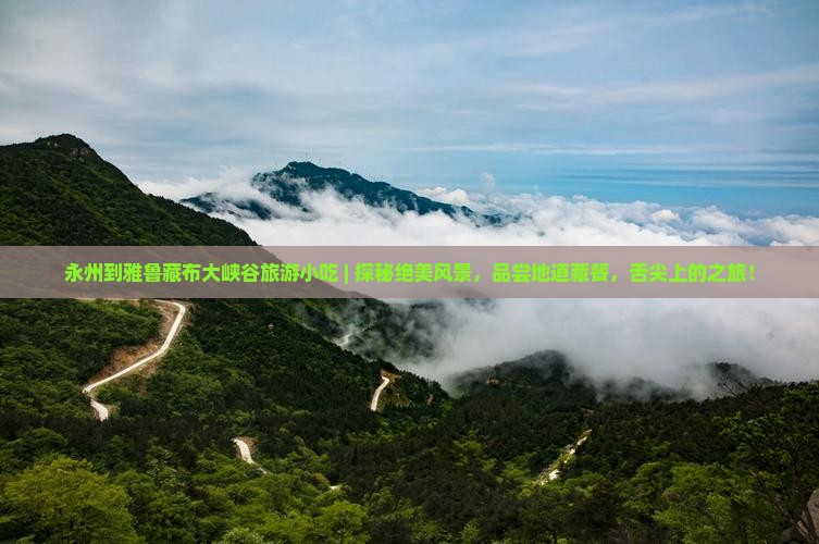 永州到西藏雅鲁藏布大峡谷旅游小吃