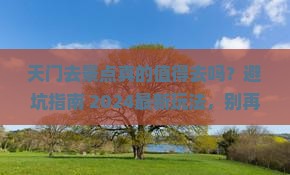 天门去西藏景点