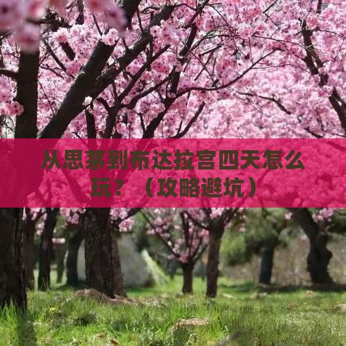 思茅去西藏布达拉宫四日游