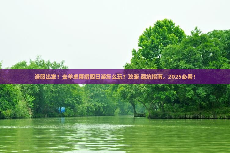 洛阳去西藏羊卓雍措四日游