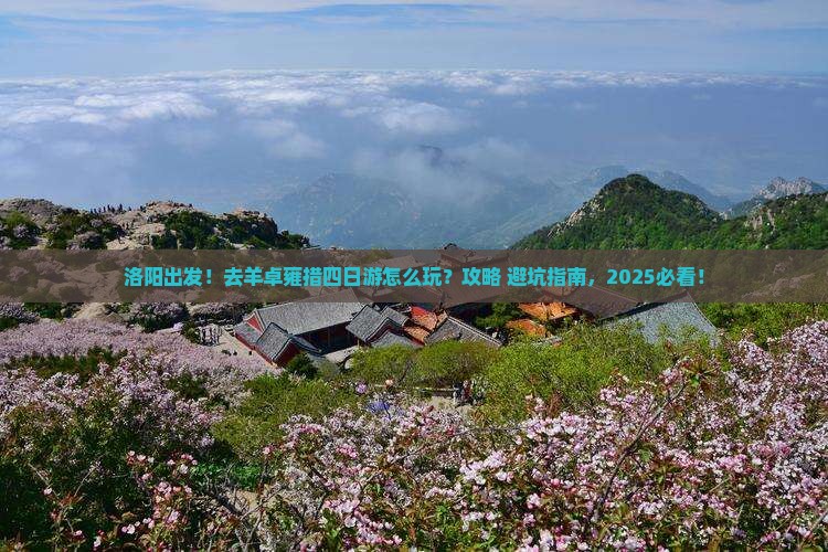 洛阳去西藏羊卓雍措四日游