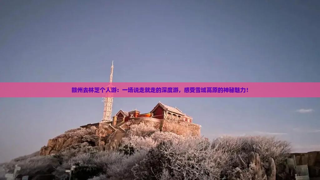 赣州去西藏林芝个人游