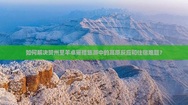 如何解决贺州至羊卓雍措旅游中的高原反应和住宿难题？