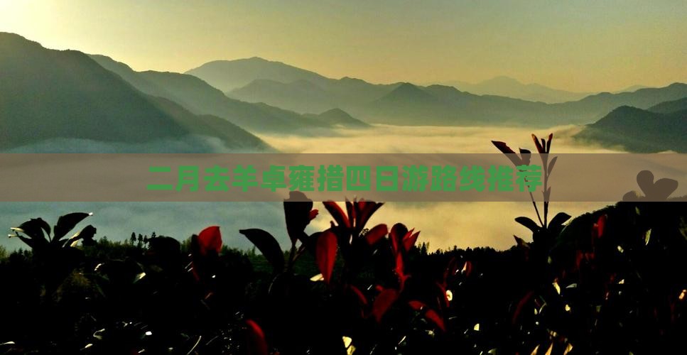 二月去羊卓雍措四日游路线推荐