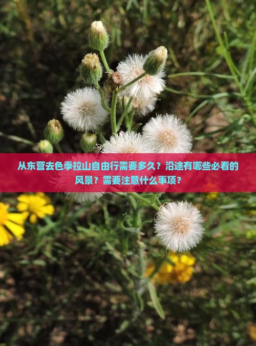 从东营去色季拉山自由行需要多久？沿途有哪些必看的风景？需要注意什么事项？
