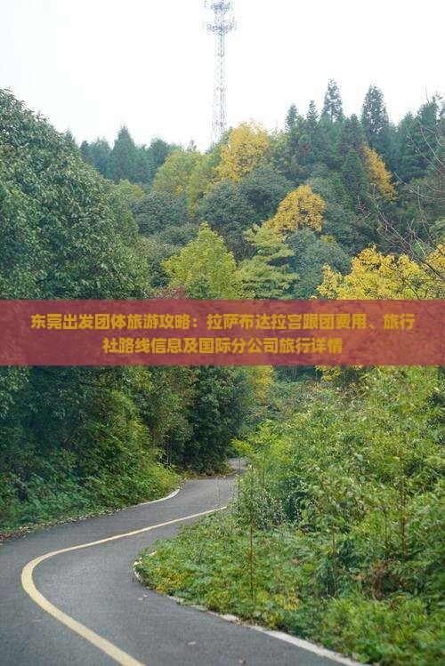 东莞出发团体旅游攻略：拉萨布达拉宫跟团费用、旅行社路线信息及国际分公司旅行详情