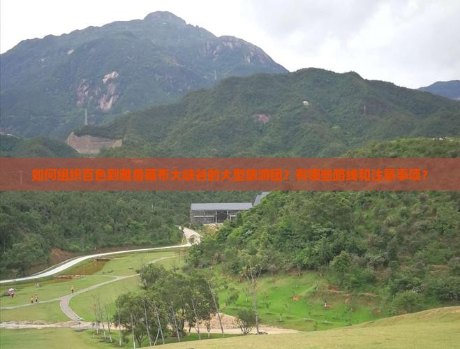 如何组织百色到雅鲁藏布大峡谷的大型旅游团？有哪些路线和注意事项？