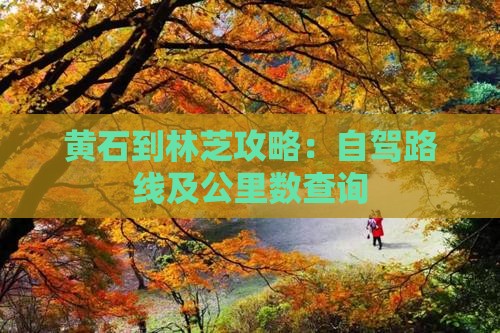 黄石到林芝攻略：自驾路线及公里数查询