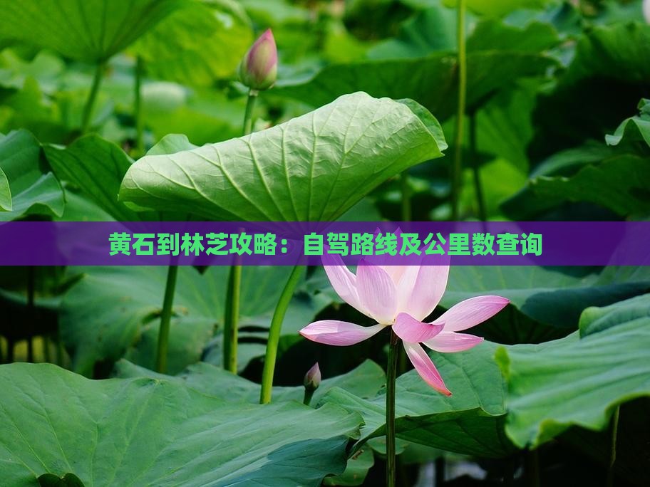 黄石到林芝攻略：自驾路线及公里数查询