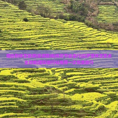 烟台到林芝旅游|旅游路线|桃花节自由行|拉萨至林芝景点全攻略|国际旅行社推荐一次完美旅行