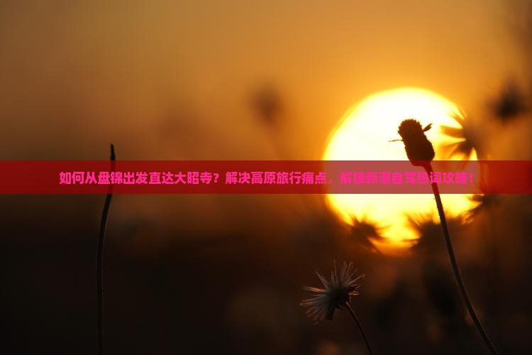 如何从盘锦出发直达大昭寺？解决高原旅行痛点，解锁新潮自驾热词攻略！