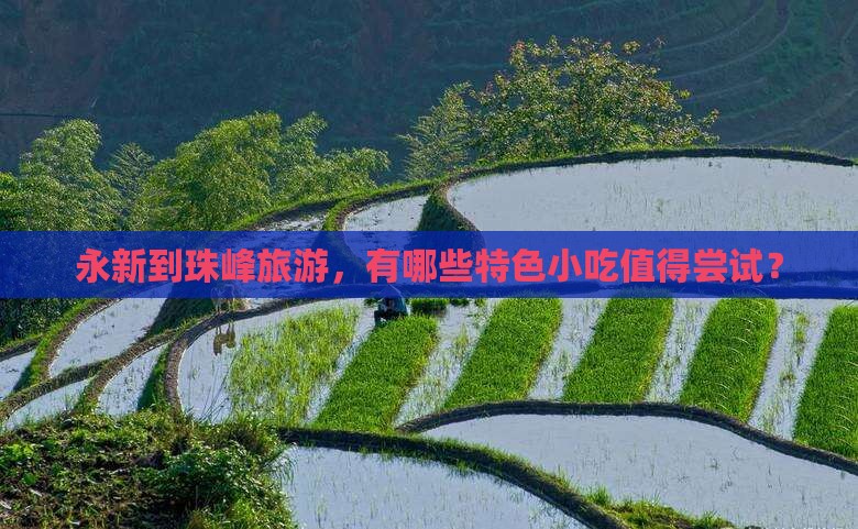 永新到珠峰旅游，有哪些特色小吃值得尝试？