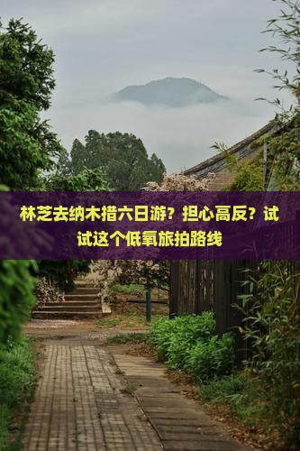 林芝去纳木措六日游?担心高反?试试这个低氧旅拍路线 林芝去纳木措六日游?担心高反?试试这个低氧旅拍路线