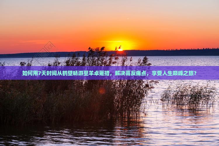 如何用7天时间从鹤壁畅游至羊卓雍措，解决高反痛点，享受人生巅峰之旅？