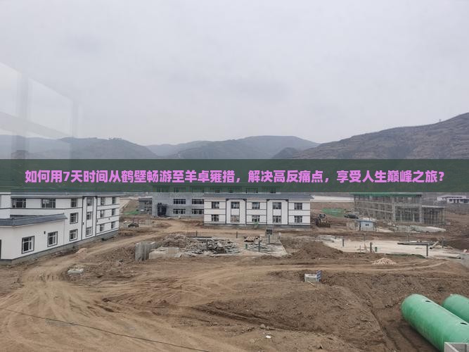 如何用7天时间从鹤壁畅游至羊卓雍措，解决高反痛点，享受人生巅峰之旅？