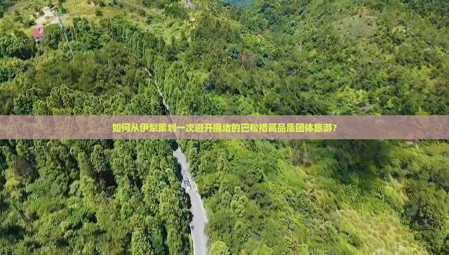 如何从伊犁策划一次避开拥堵的巴松措高品质团体旅游？