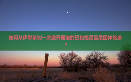 如何从伊犁策划一次避开拥堵的巴松措高品质团体旅游？