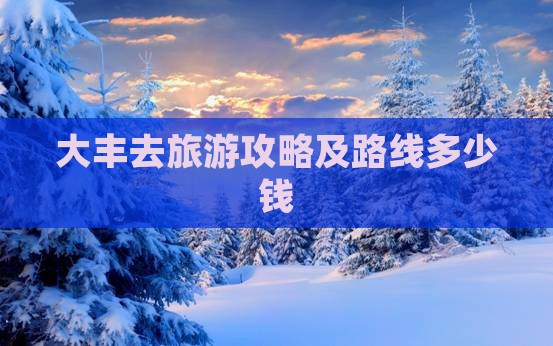 大丰去旅游攻略及路线多少钱