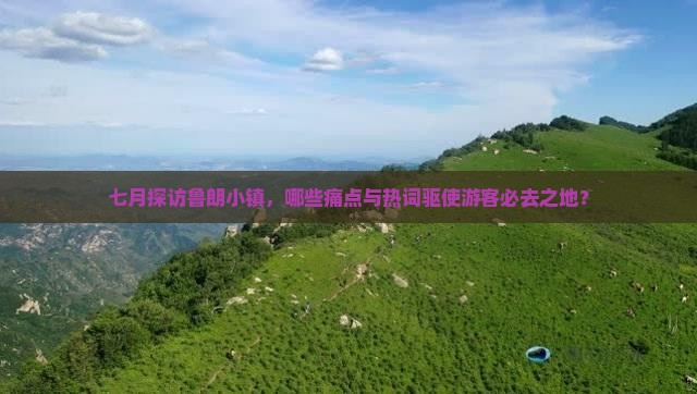 七月探访鲁朗小镇，哪些痛点与热词驱使游客必去之地？