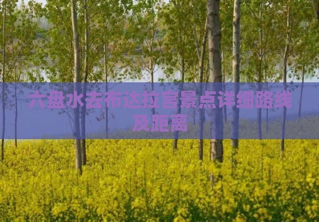 六盘水去布达拉宫景点详细路线及距离