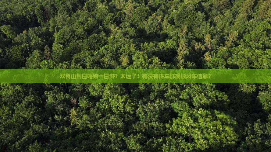 双鸭山到日喀则一日游？太远了！有没有拼车群或顺风车信息？