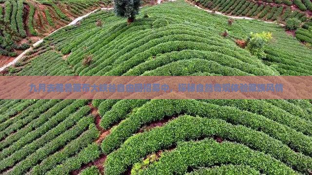 九月去雅鲁藏布大峡谷自由团招募中，探秘自然奇观体验藏族风情