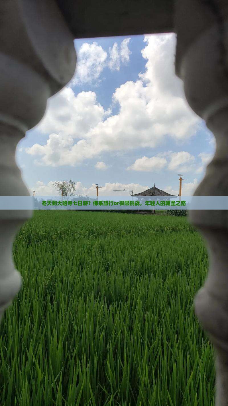 冬天到大昭寺七日游？佛系旅行or极限挑战，年轻人的朝圣之路