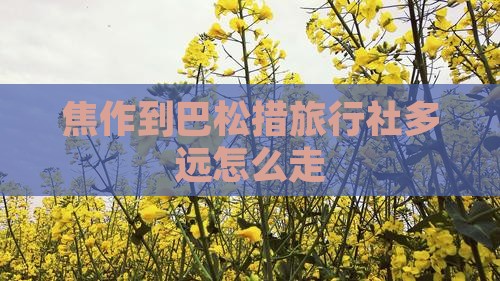 焦作到巴松措旅行社多远怎么走